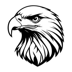 Eagle head illustration, Isolated on black background.