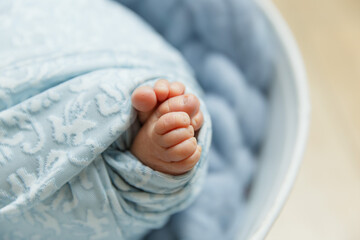 small children's legs, legs of newborn babies