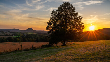 in the warm evening sun - Warmen Abendsonne