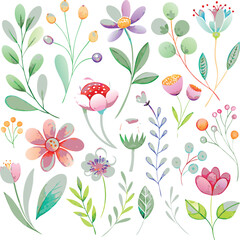 Wild flowers set, watercolor digital illustration. Perfectly for poster, card design. Mother's Day, Birthday, Valentine's day decoration.
