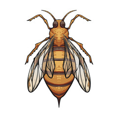 illustration of wasp, Bee wasp hornet Vector Art Drawing Illustration