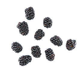 blackberries isolated on a transparent background, blackberry top view