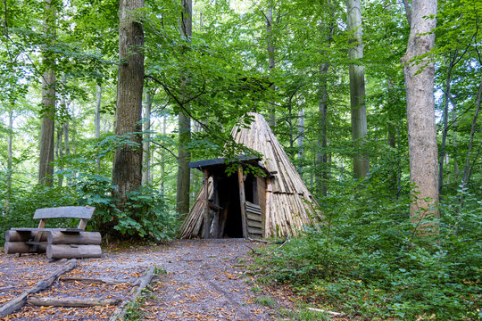 Schutzh&uuml;tte im Wald