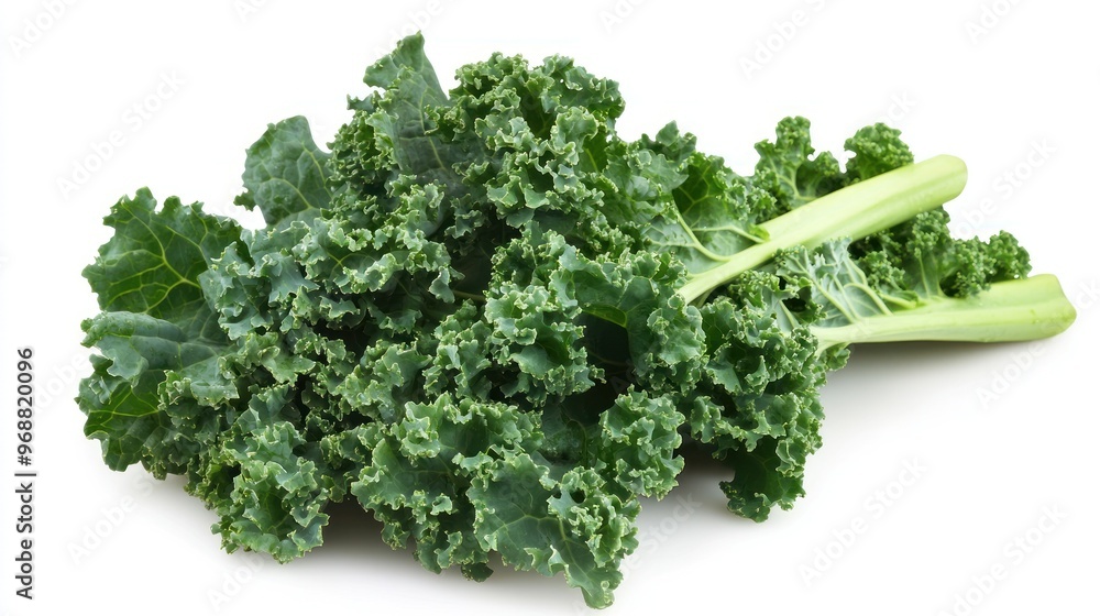 Wall mural A bunch of fresh kale with curly leaves, ideal for healthy meals and salads.