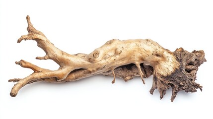 A piece of driftwood with intricate textures and shapes, suitable for decoration or crafting.
