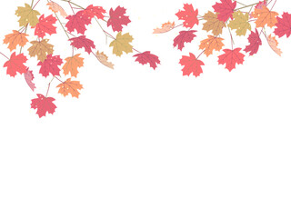 紅葉したかえでのフレームイラスト