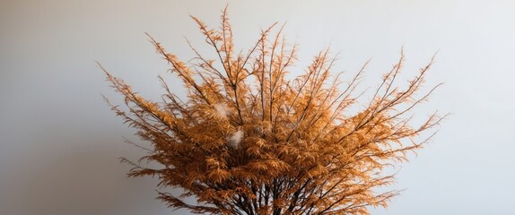 Stylish arrangement of dried foliage offering a warm, aesthetic appeal ideal for modern interiors and seasonal decor enhancing tranquility and creativity