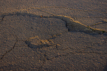 Old road. Cracked asphalt. Close up. Sunset.