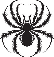 Obraz premium spider clipart vector design,awesome spider svg,high resolution printable spider artwork