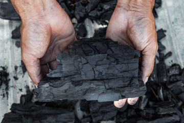 hand hold black charcoal. a porous black solid, consisting of an amorphous form of carbon, obtained...