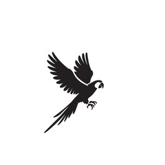 Obraz premium Parrot silhouette. Parrot vector design. Parrot logo, icon black and white.