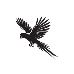Parrot silhouette. Parrot vector design. Parrot logo, icon black and white.