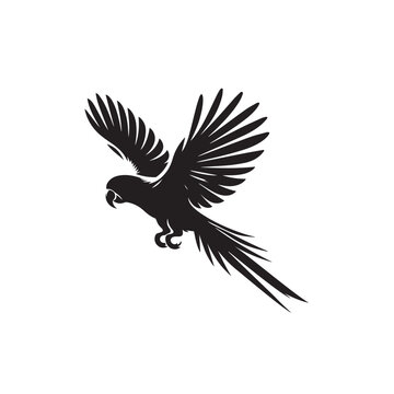 recommend clip art: Parrot silhouette. Parrot vector design. Parrot logo, icon black and white.