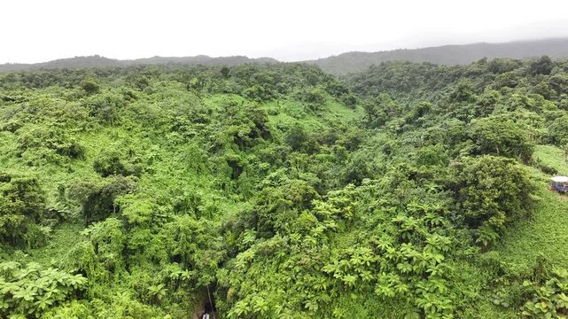 Drone scenic view of waterfalls and dense jungle forest vegetation in Taveuni Island, Fiji.