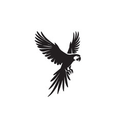 Parrot silhouette. Parrot vector design. Parrot logo, icon black and white.