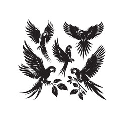 Obraz premium Parrot silhouette. Parrot vector design. Parrot logo, icon black and white.