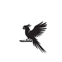 Obraz premium Parrot silhouette. Parrot vector design. Parrot logo, icon black and white.