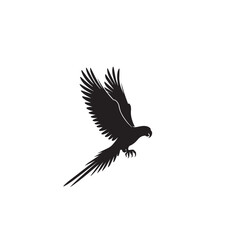 Naklejka premium Parrot silhouette. Parrot vector design. Parrot logo, icon black and white.