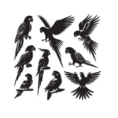 Fototapeta premium Parrot silhouette. Parrot vector design. Parrot logo, icon black and white.