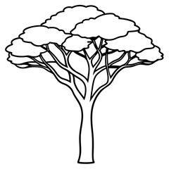 acacia tree outline coloring book page line art drawing