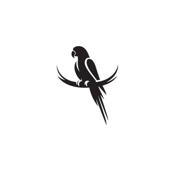 recommend clip art: Parrot silhouette. Parrot vector design. Parrot logo, icon black and white.