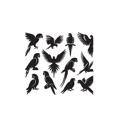 Obraz premium Parrot silhouette. Parrot vector design. Parrot logo, icon black and white.