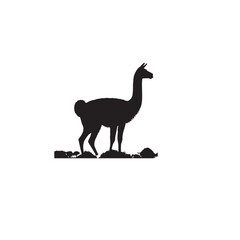 Fototapeta premium Vicuña Silhouette design. Vicuña Silhouette vector design. Llama vector design. Llama logo.