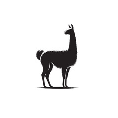 Vicuña Silhouette design. Vicuña Silhouette vector design. Llama vector design. Llama logo.