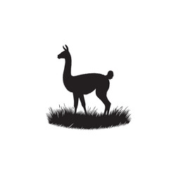 Fototapeta premium Vicuña Silhouette design. Vicuña Silhouette vector design. Llama vector design. Llama logo.