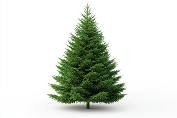 Obraz premium christmas tree isolated on white