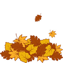 Pile of Autumn Leaves

