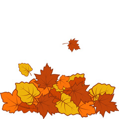 Pile of Autumn Leaves
