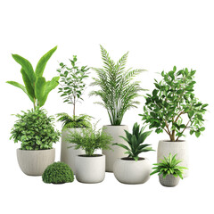 Obraz premium 3d illustration of decorative plant collection isolated on transparent background