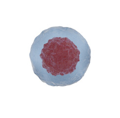  red cell isolated in transparent background 3d render