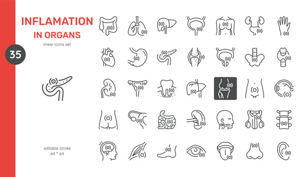 Inflammation Icon Images – Browse 161,636 Stock Photos, Vectors, and ...