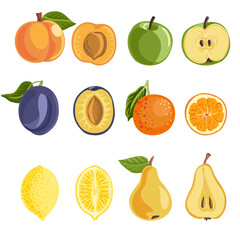vector drawing set of fruits, half and whole pear, green apple, blue plum, orange,lemon and apricot whole and half isolated at white background, hand drawn illustration