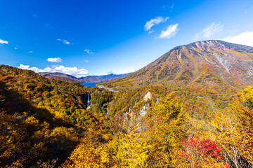 Fototapeta premium 栃木県・奥日光 明智平から望む秋の絶景 