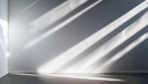 soft rays of sunlight penetrate the room, falling on the white wall, creating a shadow in the form of a plant pattern from the tree
