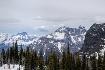 Mount Brown fire lookout and Mountain Goat, Trail start at Lake mcdonald lodge, Glacier national...