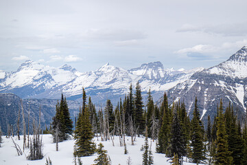 Mount Brown fire lookout and Mountain Goat, Trail start at Lake mcdonald lodge, Glacier national park, Montana, USA
