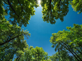 Obraz premium green leaves against blue sky