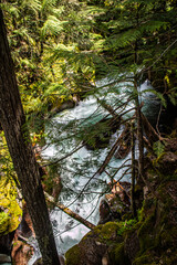 Fototapeta premium Avalanche Lake at Glacier national park, Montana, USA.