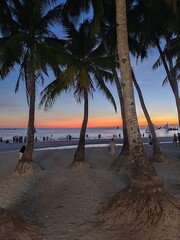ile coucher du soleil, palmier, mer
