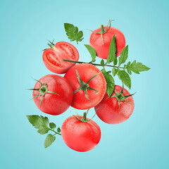 Fresh tomatoes with green leaves in air on light blue background