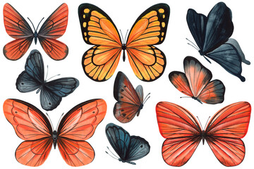 orange black butterfly illustrations for Halloween. Beautiful monarch butterfly isolated background. watercolor painting