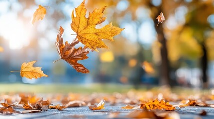 This photograph captures the essence of autumn with falling leaves in vivid colors, reflecting the changing season and the beauty of nature's cycle. خزاں کے حسن کو ظاہر کرنے والی تصویر
