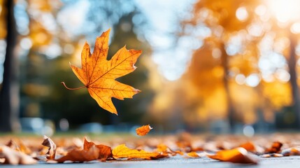 An autumnal scene capturing a single maple leaf in mid-air as it falls to the ground, symbolizing the beauty and transience of the fall season. خزاں کے حسن کو ظاہر کرنے والی تصویر
