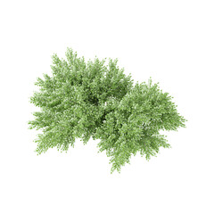 From the topview of Box tree on isolated Canvas