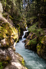 Fototapeta premium Avalanche Lake at Glacier national park, Montana, USA.