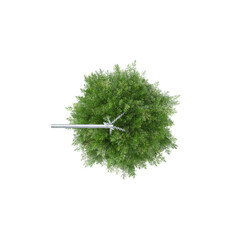 Top view of home decoraction houseplant in pot isolated on transparent Canvas